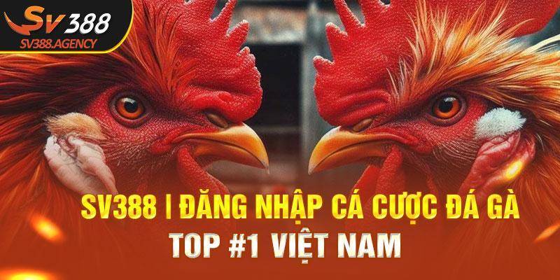 SV388 đăng nhập cá cược đá gà TOP 1 VIỆT NAM
