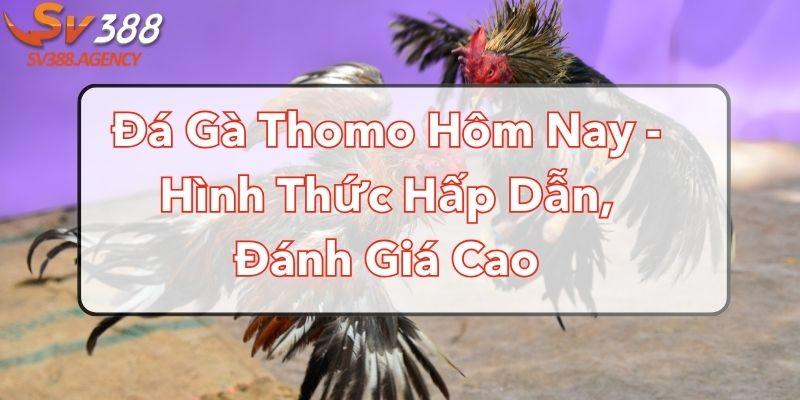 da-ga-thomo-hom-nay